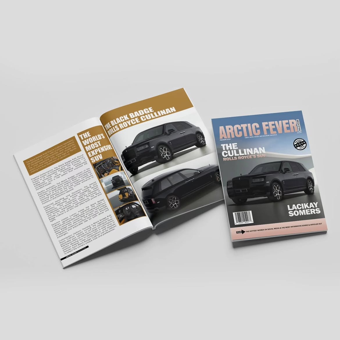 Arctic Fever magazine cover and interior spread design for a client